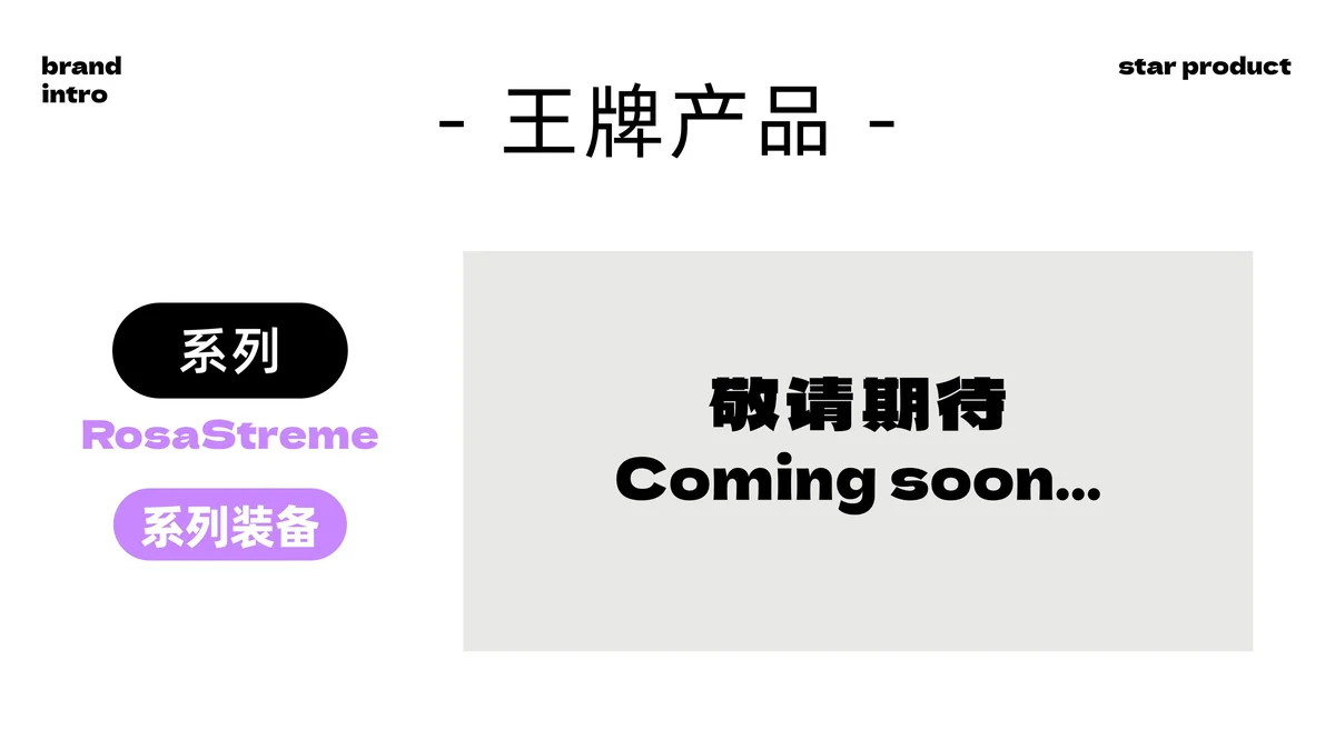 王牌产品: RosaStreme系列装备