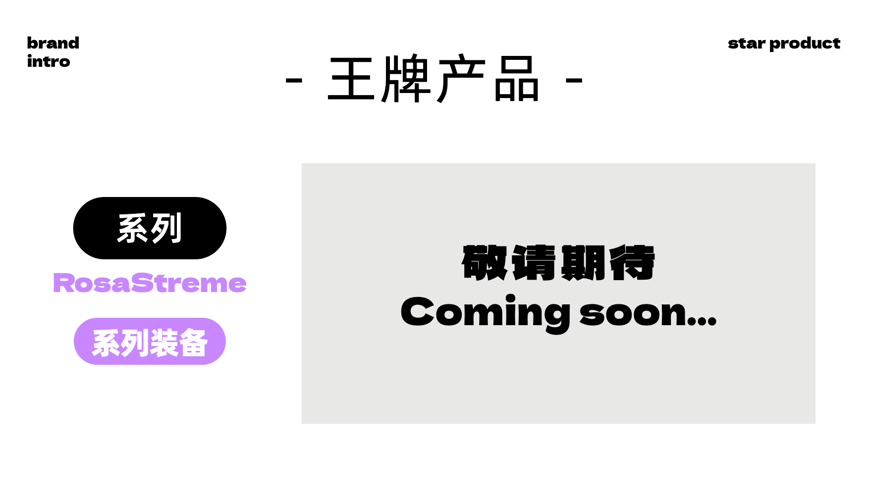王牌产品: RosaStreme系列装备