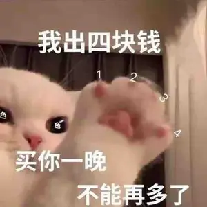 用户展示
