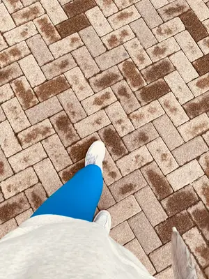 用户展示