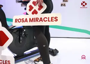 用户展示