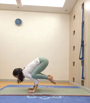 用户展示